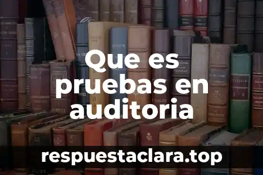 Que es pruebas en auditoria
