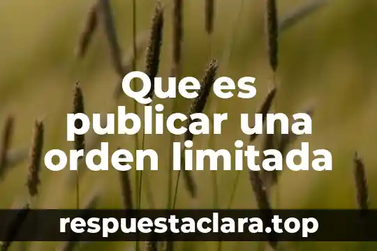 Significado bien definido de que es desigualdad 7 Que es publicar una orden limitada