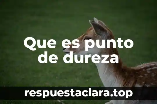 Que es punto de dureza