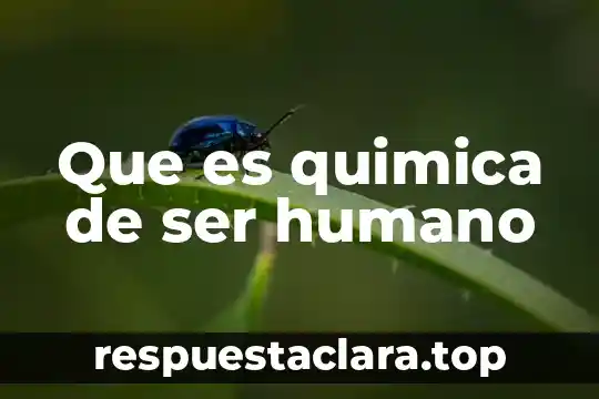 Que es quimica de ser humano