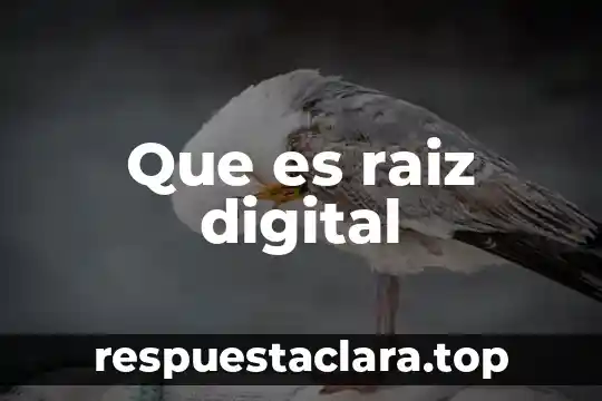 Que es raiz digital