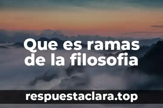 Que es ramas de la filosofia