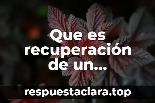 Que es recuperación de un documento