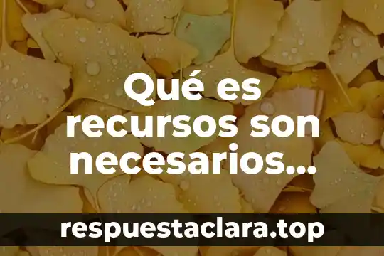 Qué es recursos son necesarios para lanzar un producto