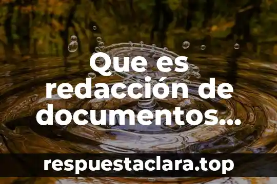 Que es redacción de documentos comerciales y legales