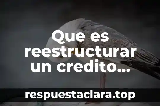 Que es reestructurar un credito infonavit