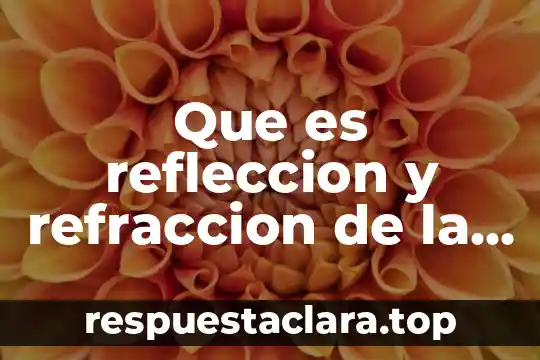 Que es la esencia de la educação yahoo 4 Que es refleccion y refraccion de la luz yahoo
