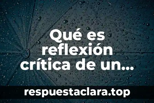 Qué es reflexión crítica de un proyecto