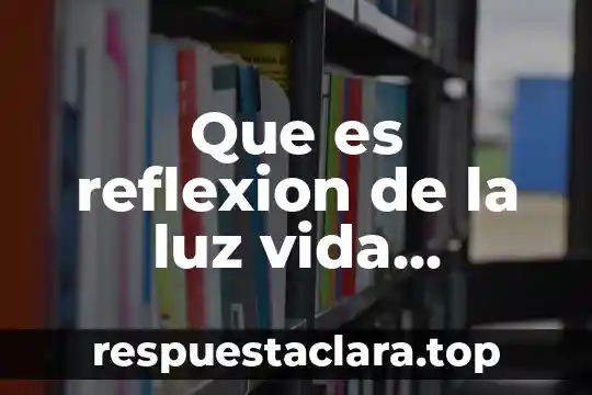 Que es reflexion de la luz vida cotidiana