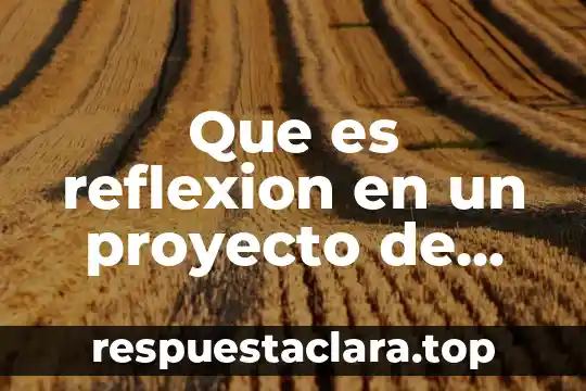 Que es reflexion en un proyecto de investigacion