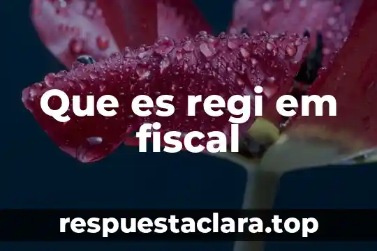 Qué es el número de identificación fiscal en República Dominicana 7 Que es regi em fiscal