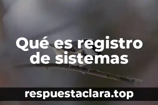 Qué es registro de sistemas