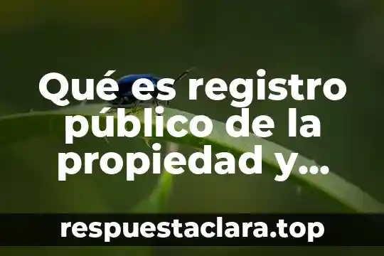 Qué es registro público de la propiedad y mercantil