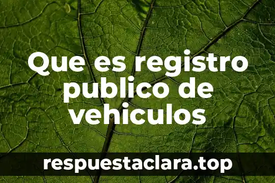 Que es registro publico de vehiculos