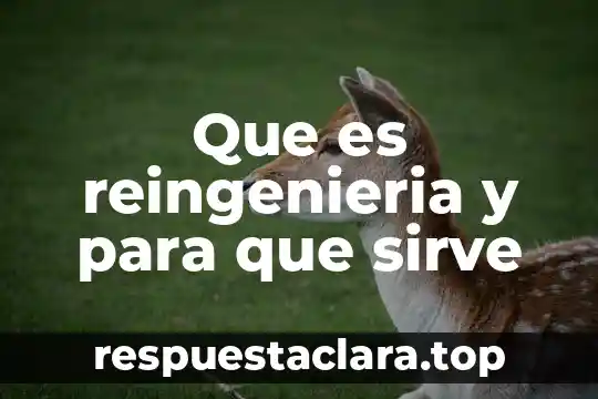 Que es reingenieria y para que sirve