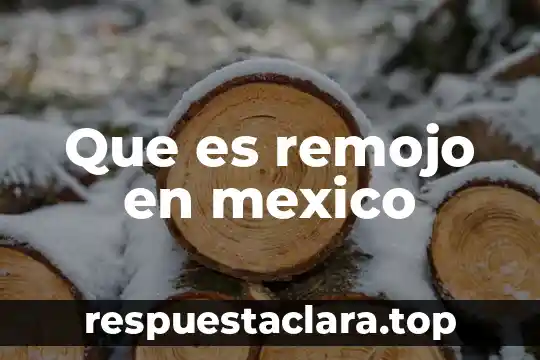 Que es un tribunal federal mexico 4 Que es remojo en mexico