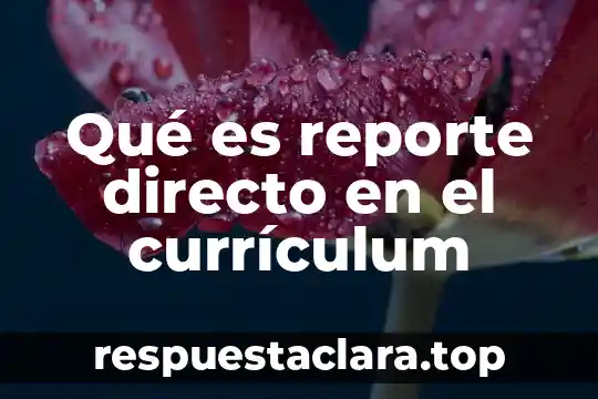 Que es el curriculum oculto en educacion yahoo 4 Qué es reporte directo en el currículum