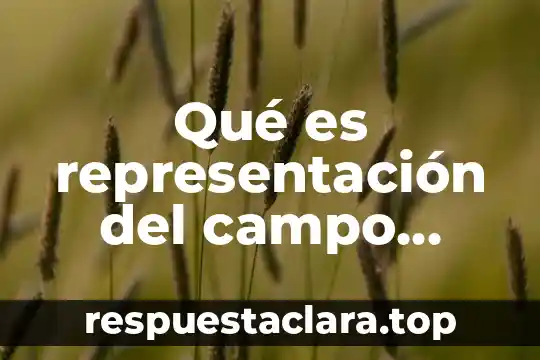 Qué es representación del campo visual