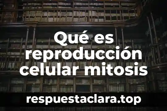 Qué es reproducción celular mitosis