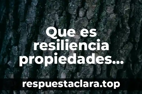 Qué es un número racional y sus propiedades 5 Que es resiliencia propiedades mecanicas