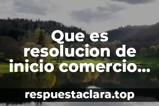 Que es resolucion de inicio comercio exterior