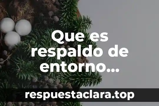 Que es grafico x-s 6 Que es respaldo de entorno grafico