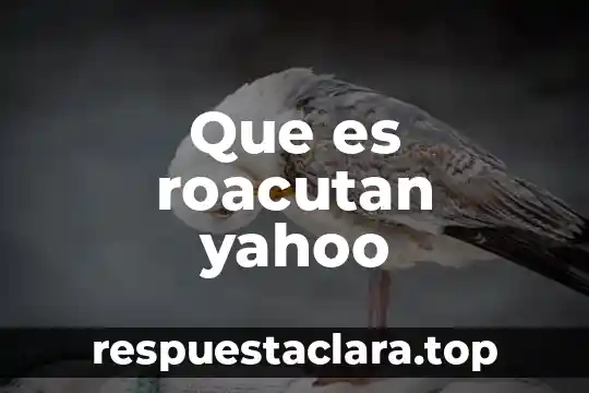 Que es roacutan yahoo