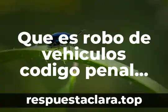 Que es robo de vehiculos codigo penal federal