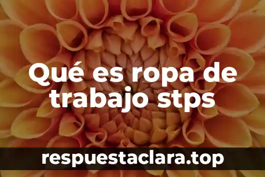 Qué es ropa de trabajo stps
