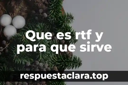 Que es rtf y para que sirve