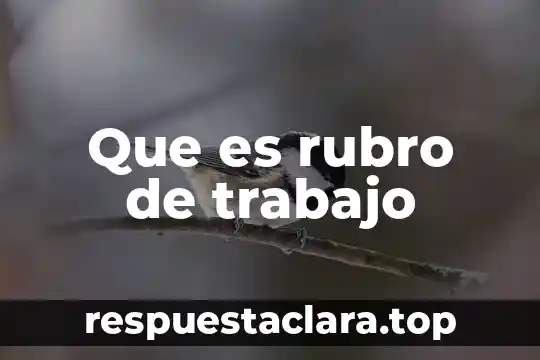 Que es rubro de trabajo