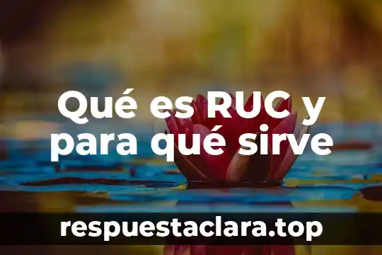Que es un significado adquirido 8 Qué es RUC y para qué sirve