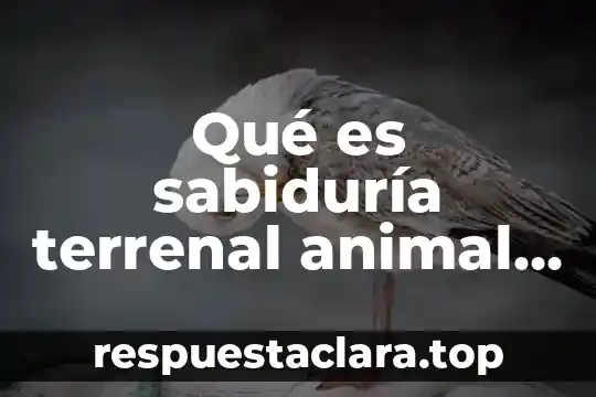 Qué es sabiduría terrenal animal y diabólica