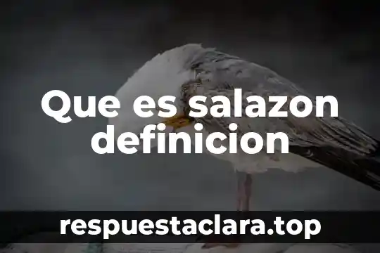 Que es salazon definicion