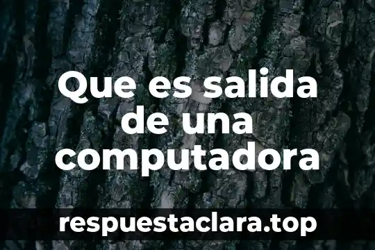 Que es una salida de color de un monitor 3 Que es salida de una computadora