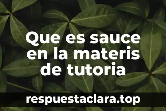 Que es una idea principal y cómo se identifica 3 Que es sauce en la materis de tutoria