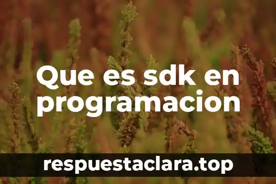 Que es sdk en programacion