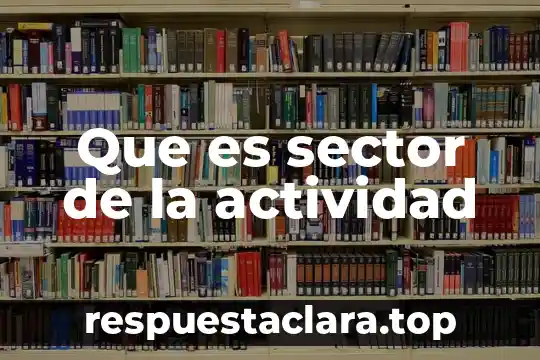 Que es sector de la actividad