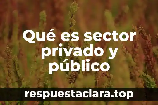 Qué es sector privado y público