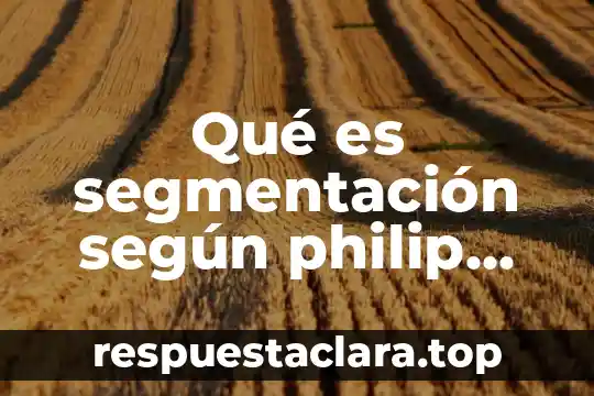 Qué es segmentación según philip kotler