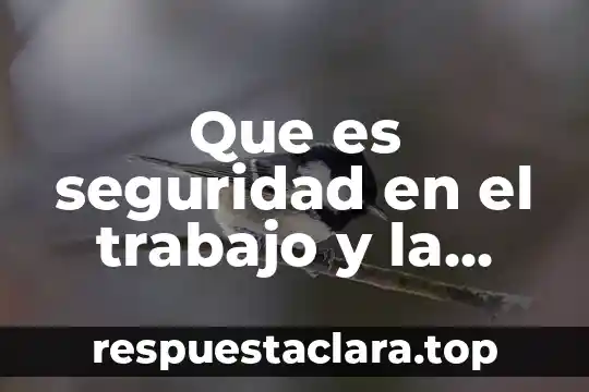 Qué es satiro significado 8 Que es seguridad en el trabajo y la salud