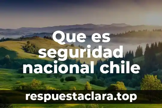 Que es seguridad nacional chile
