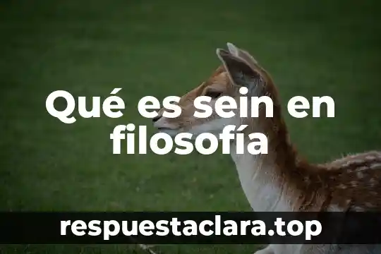 Qué es sein en filosofía