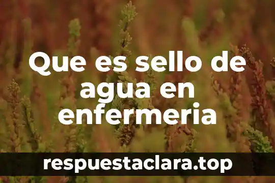 Nombre certificado del sello digital que es 6 Que es sello de agua en enfermeria