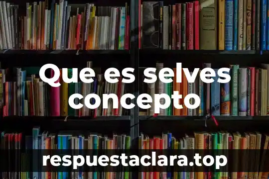 Que es selves concepto