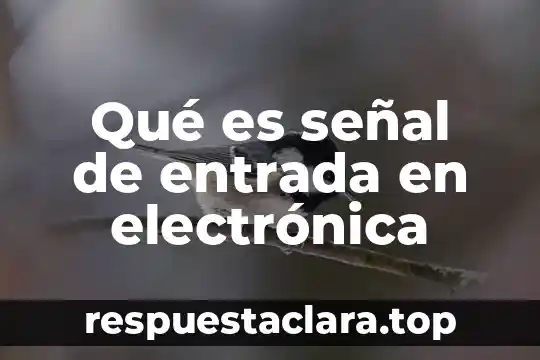 Qué es señal de entrada en electrónica