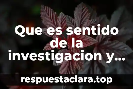 Que es sentido de la investigacion y al cance