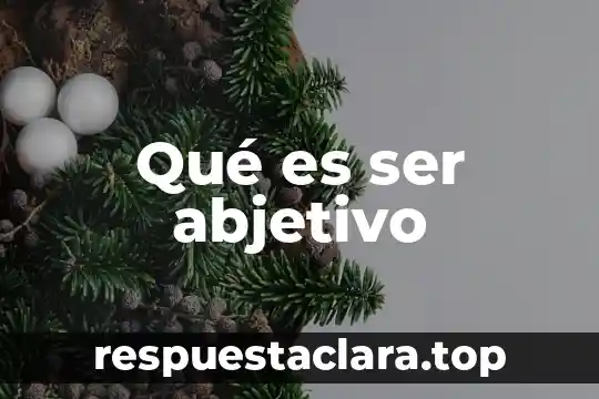 Qué es ser abjetivo