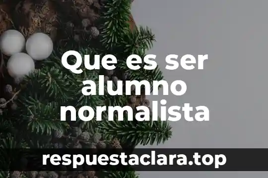 Que es ser alumno normalista