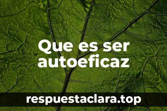 Que es evaluacion y tipos de evalucaion 8 Que es ser autoeficaz